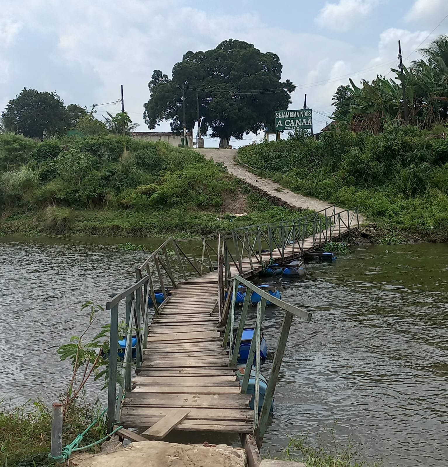 Rascunho Automático